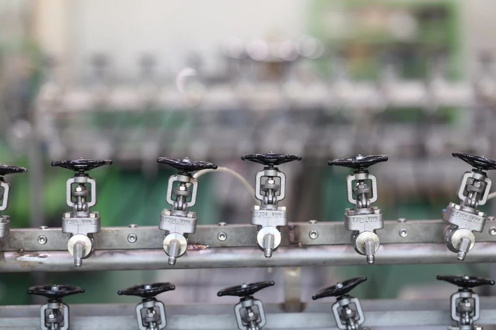DEV Inspection Valves