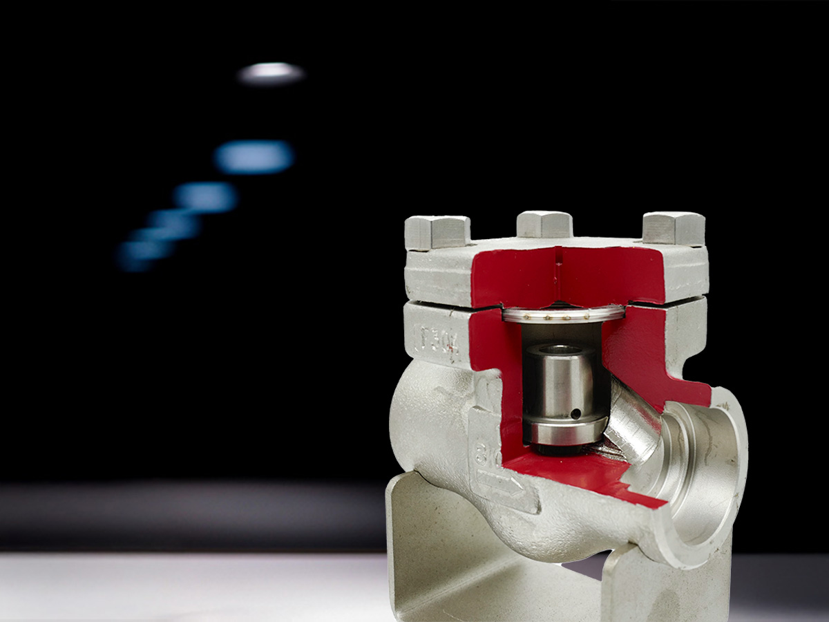 Check Valve