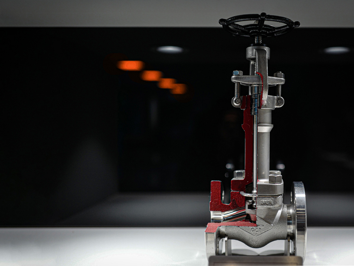 Globe Valve