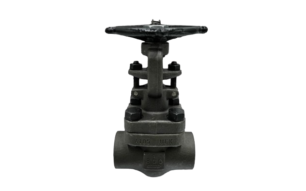 dkm-F800GCS(NPT)