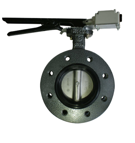 HS BFV FLANGE LEVER PT