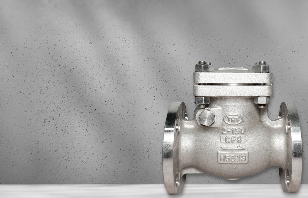 Check Valve