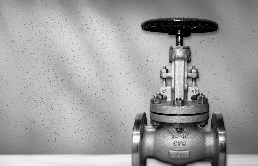 Globe Valve