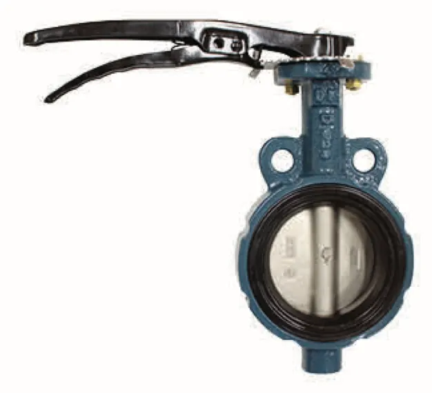 Concentric Butterfly Valve