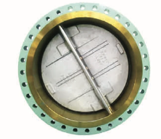 Dual Plate Check Valve